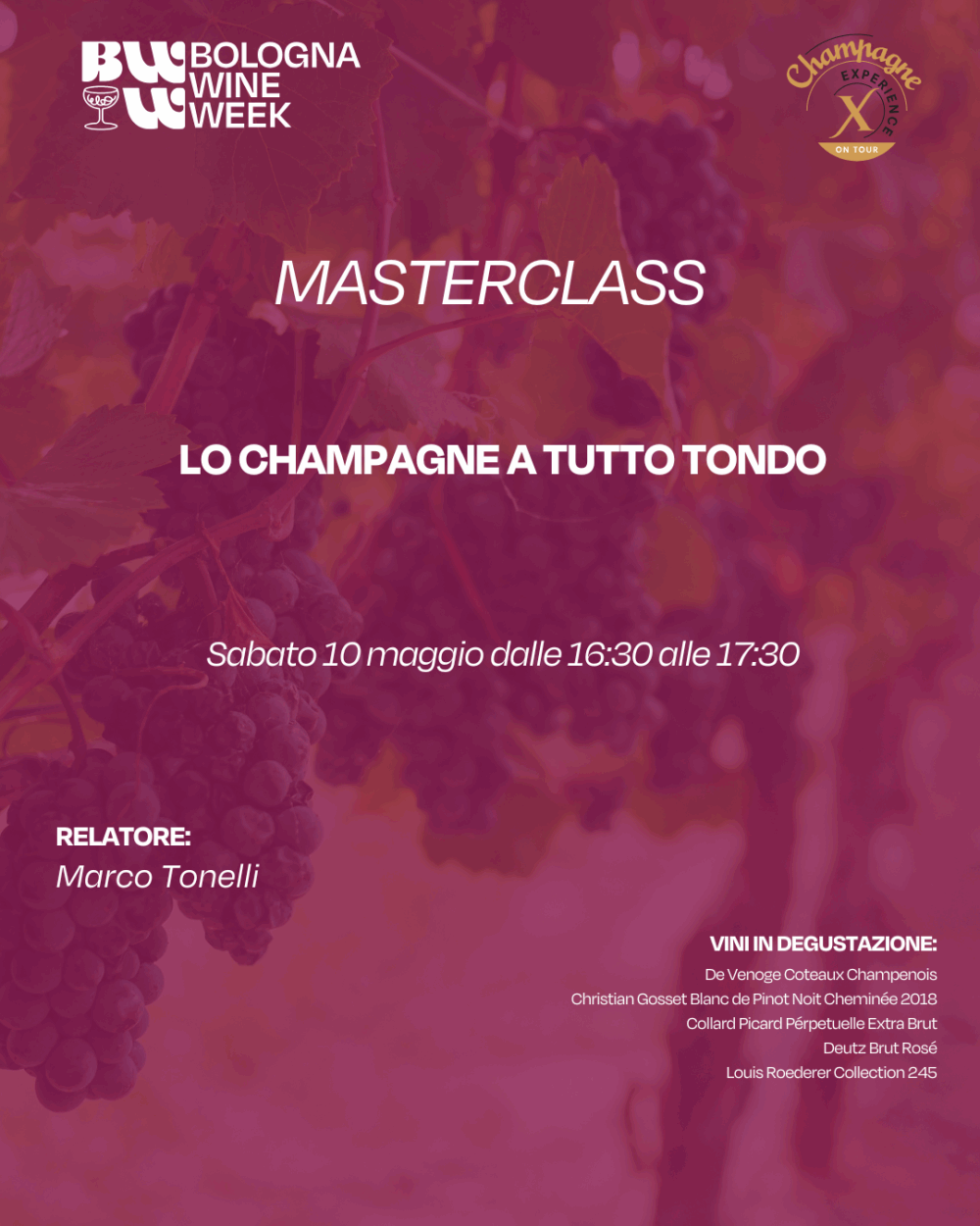 Lo Champagne a tutto tondo